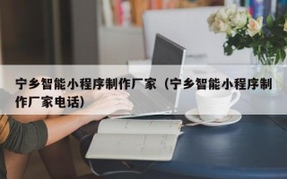 云梦宁乡智能小程序制作厂家（宁乡智能小程序制作厂家电话）