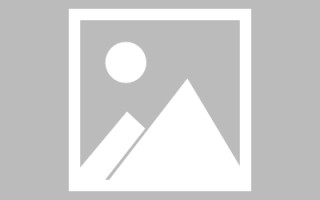 云梦关于网站建设免费（关于网站建设免费的通知）